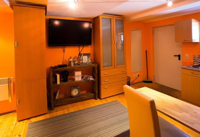 １ベッドルームアパートメント, Heidelberg Apartments