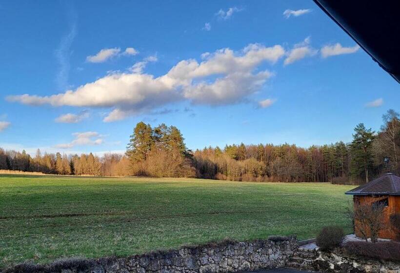 スタンダードルーム, Pension Am Wald