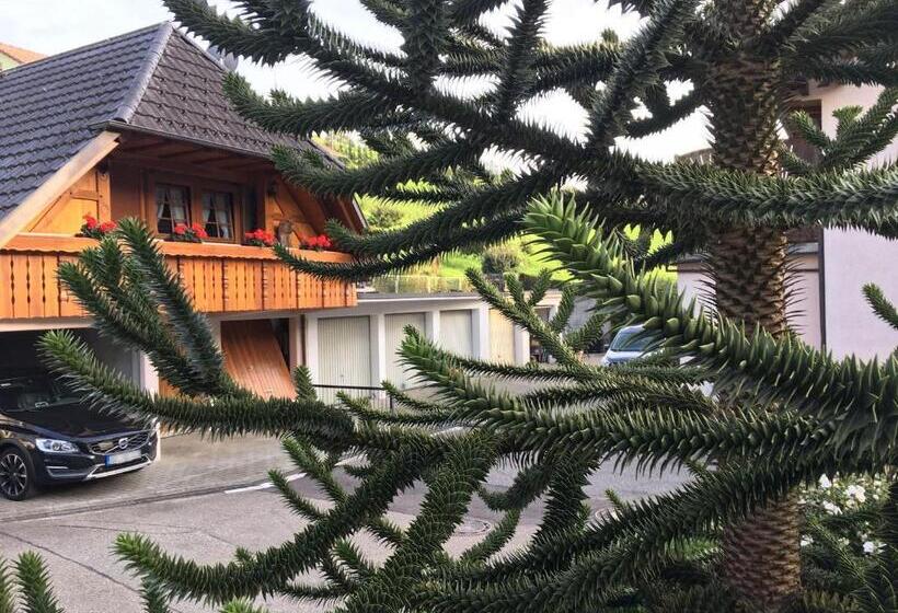 Номер Стандарт с Террасой, Pension Haus Rose