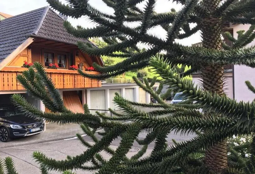 テラス付きスタンダードルーム, Pension Haus Rose