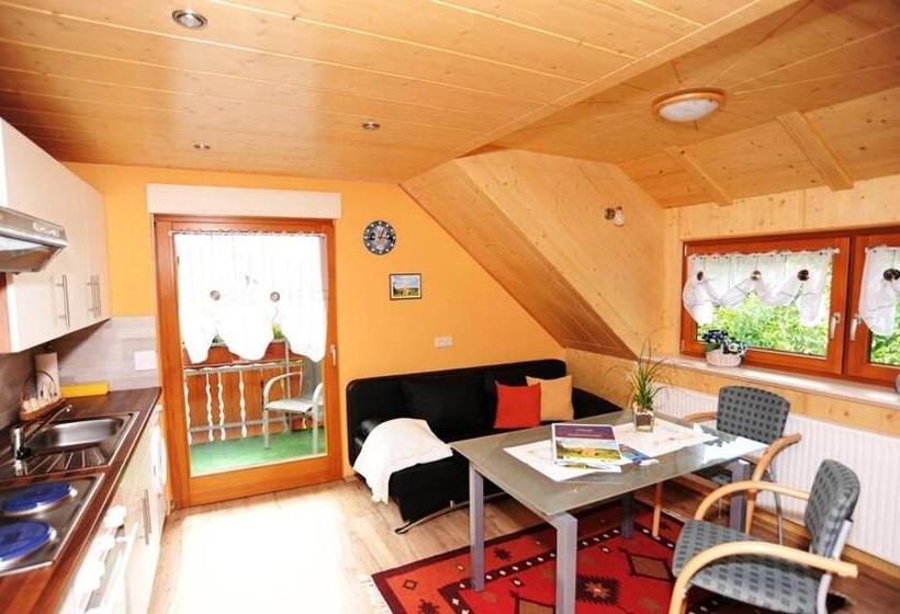 Апартаменты 1 Спальня с Балконом, Pension Haus Rose