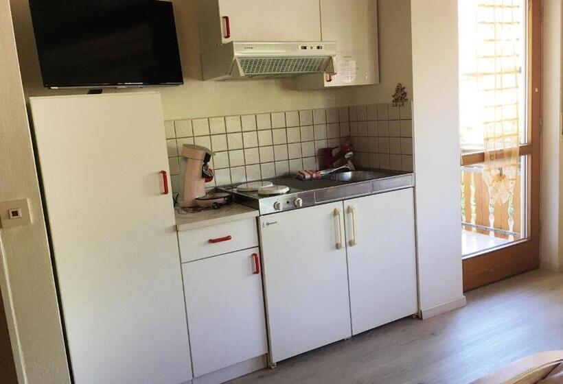 Номер Стандарт Вид на Горы, Pension Haus Rose