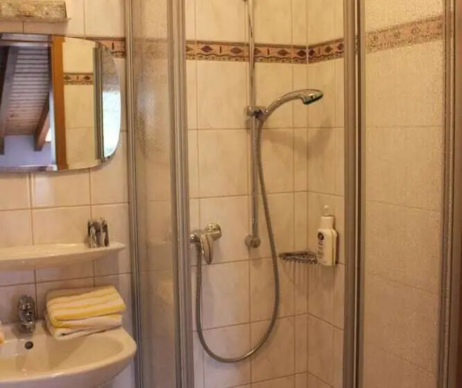 اتاق استاندارد, Landgasthof Hotel Sauer