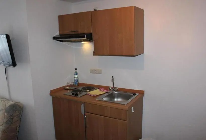 آپارتمان 1 خوابه, Landgasthof Hotel Sauer