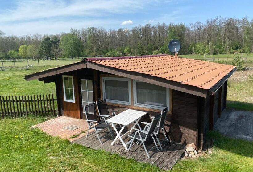 Дом 2 Спальни, Museumsherberge Glashütte