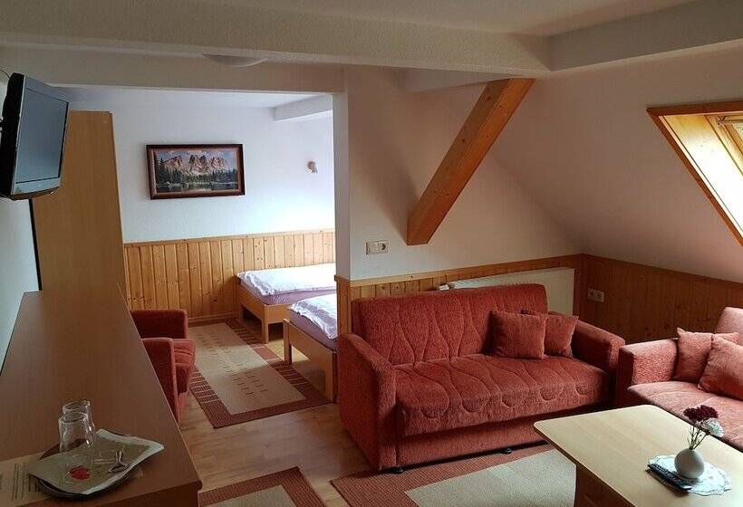 غرفة قياسية, Restaurant & Pension Bergglock L