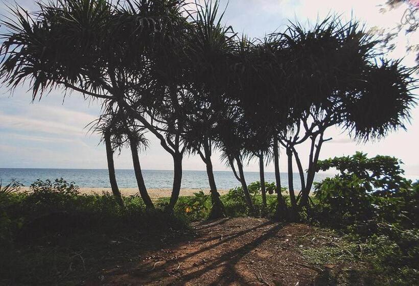 بنجلو قياسى, Thai Muang Resort