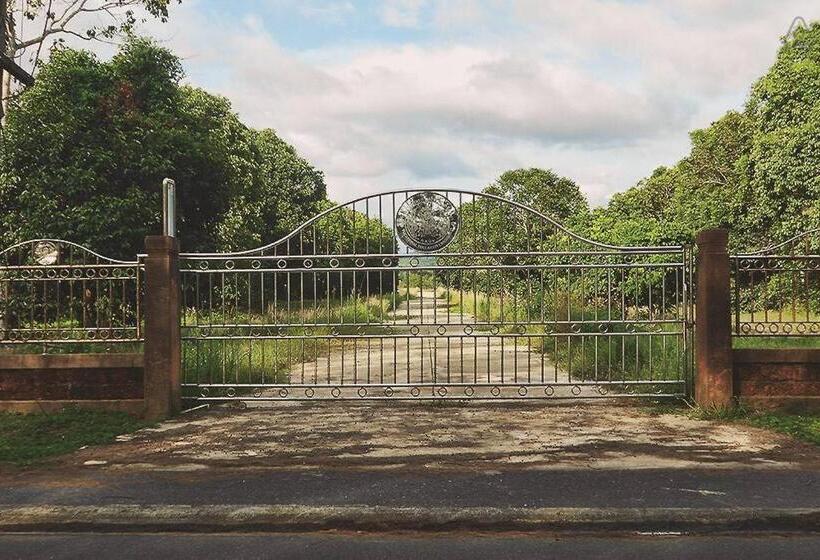 بنجلو قياسى, Thai Muang Resort