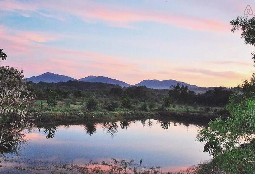 بنجلو قياسى, Thai Muang Resort