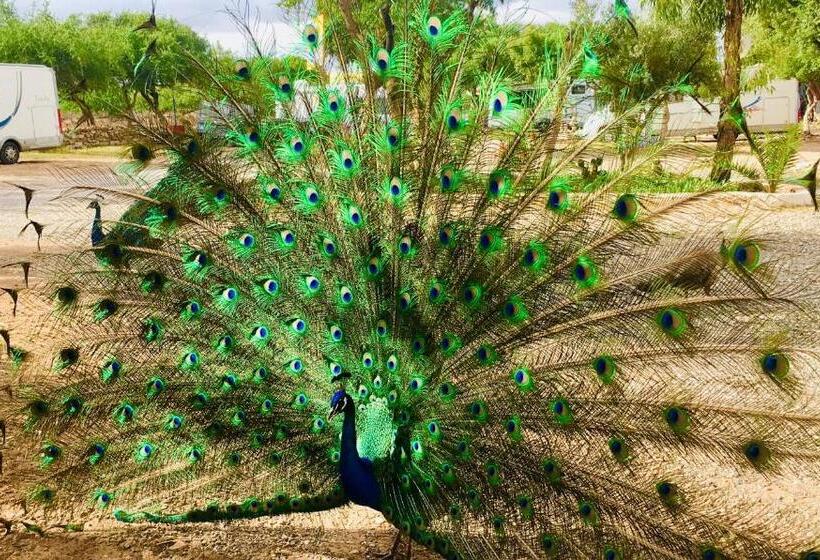 سوییت, Camping & Hôtel Le Calme