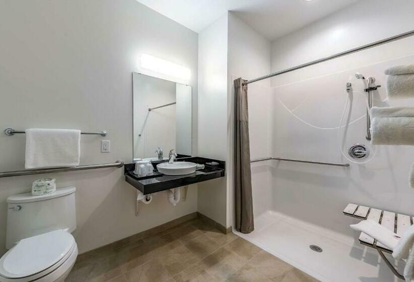 Номер Стандарт Кровать Кинг Адаптированный для Инвалидов, Motel 6mankato, Mn