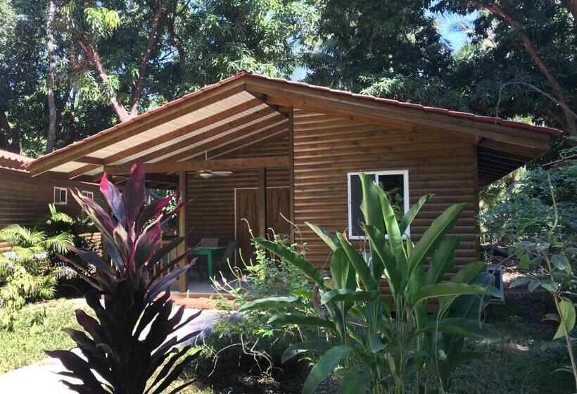 کلبه ییلاقی, Boho Lodge Montezuma L&l