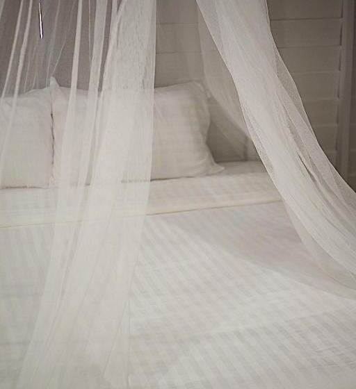 스탠다드 룸, The Good Days