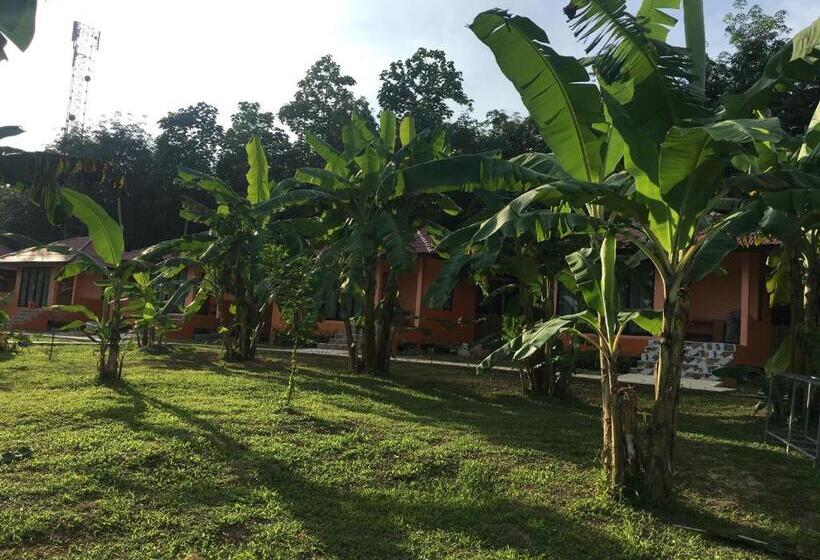 스탠다드 룸 가든 전망, Bannsuan Amaleena