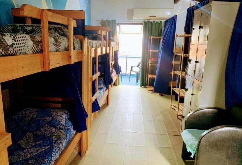 Кровать в Общей Комнате, Oceanic Hostel