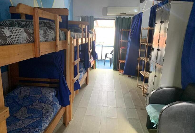 Кровать в Общей Комнате, Oceanic Hostel