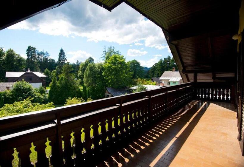 اتاق استاندارد چهارنفره با سرویس بهداشتی مشترک, Vila Lipa