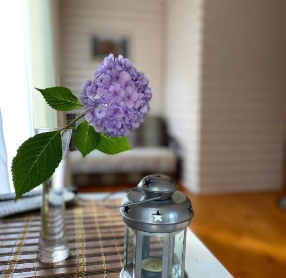 اتاق استاندارد, Karpatska Mria