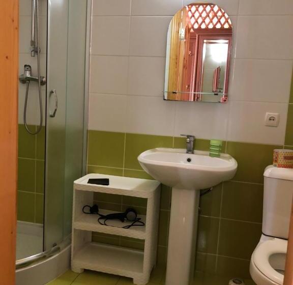 اتاق استاندارد, Karpatska Mria