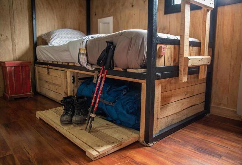 سرير فى غرفة مشتركه, Puma House