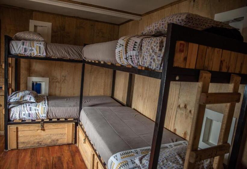 سرير فى غرفة مشتركه, Puma House