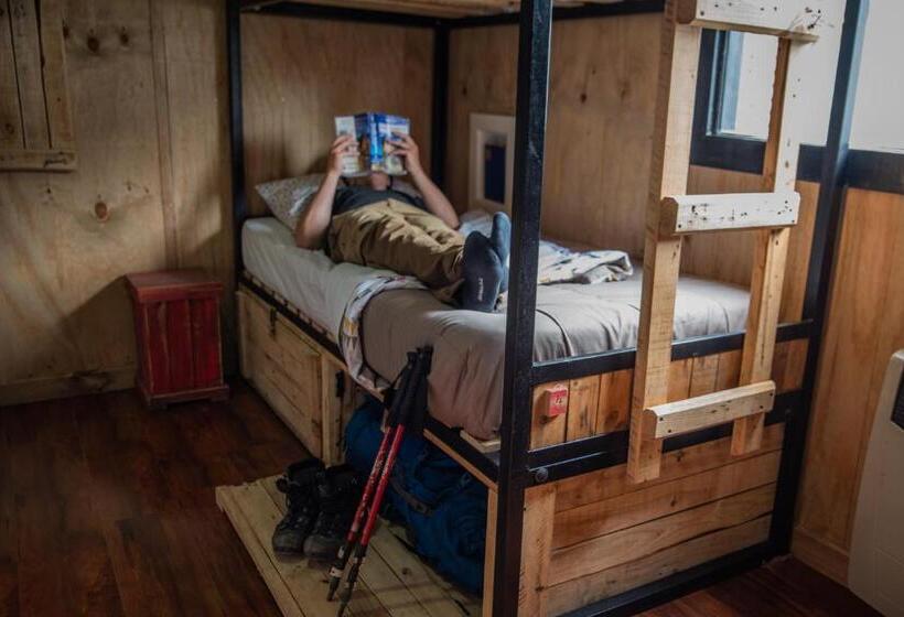 سرير فى غرفة مشتركه, Puma House