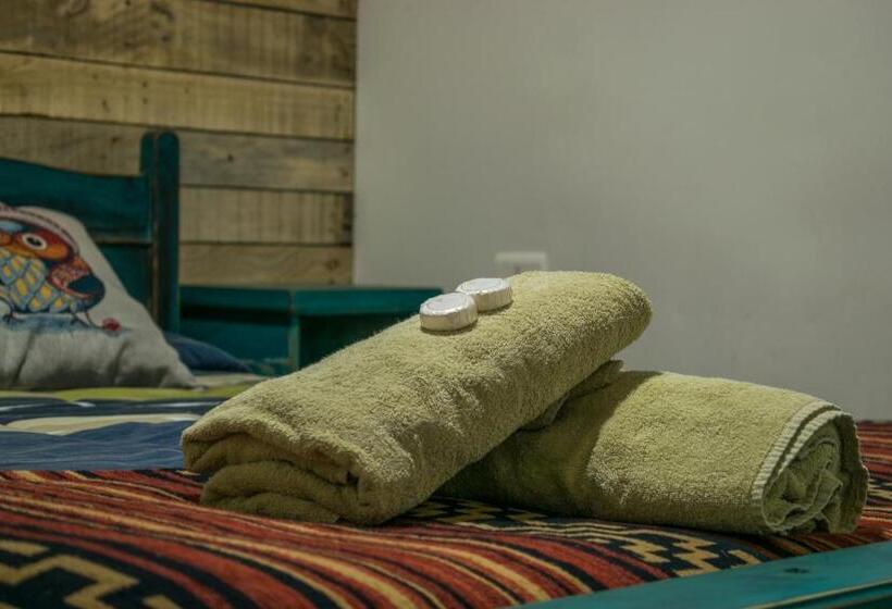 غرفة قياسية, Puma House