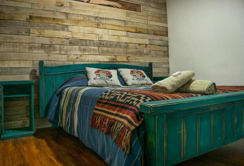 غرفة قياسية, Puma House