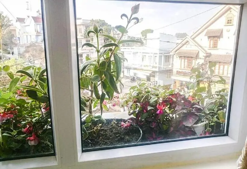 اتاق خانوادگی, Atp Guesthouse
