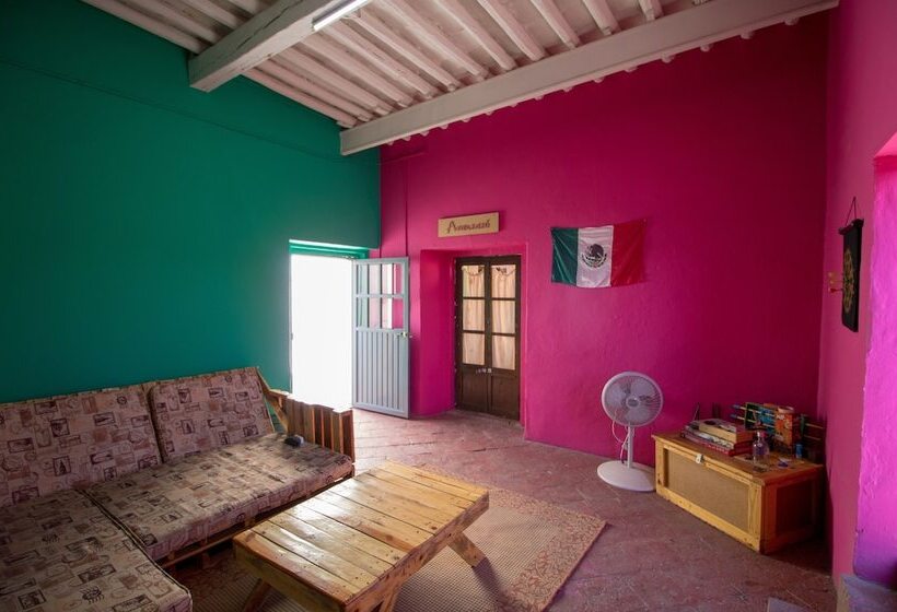 اتاق استاندارد, Sukha Hostel San Luis