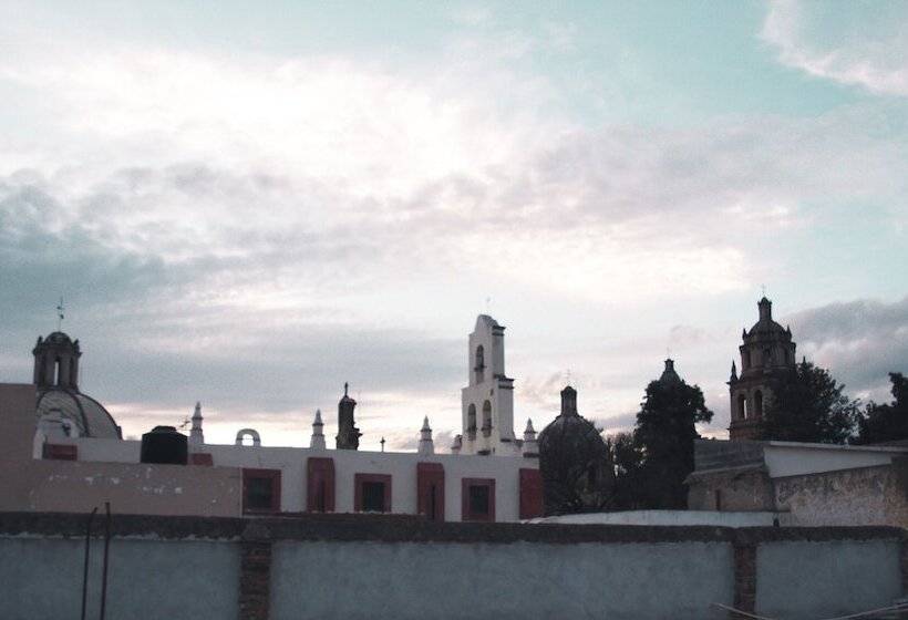 اتاق استاندارد, Sukha Hostel San Luis