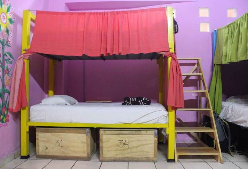 اتاق استاندارد, Sukha Hostel San Luis