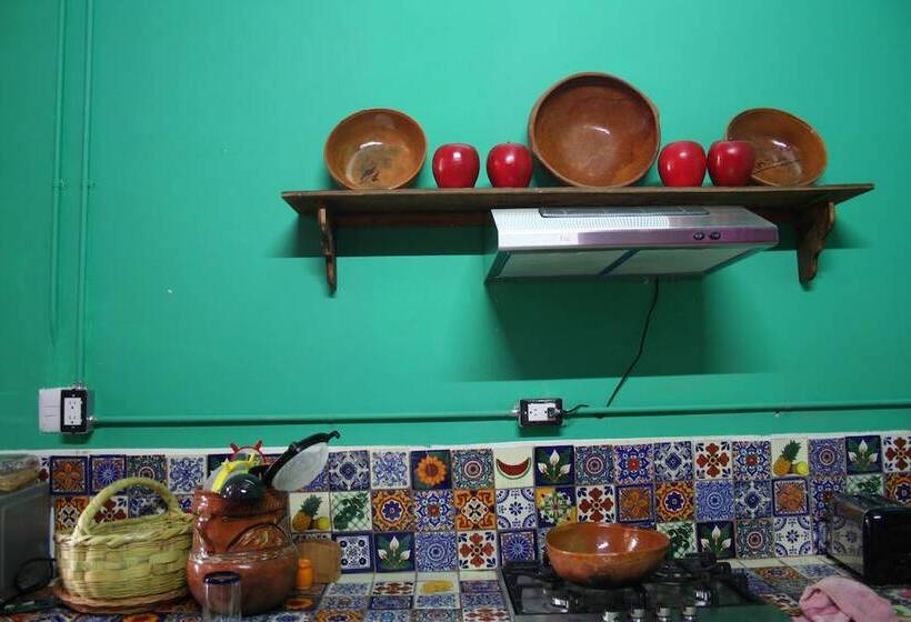 اتاق استاندارد, Sukha Hostel San Luis