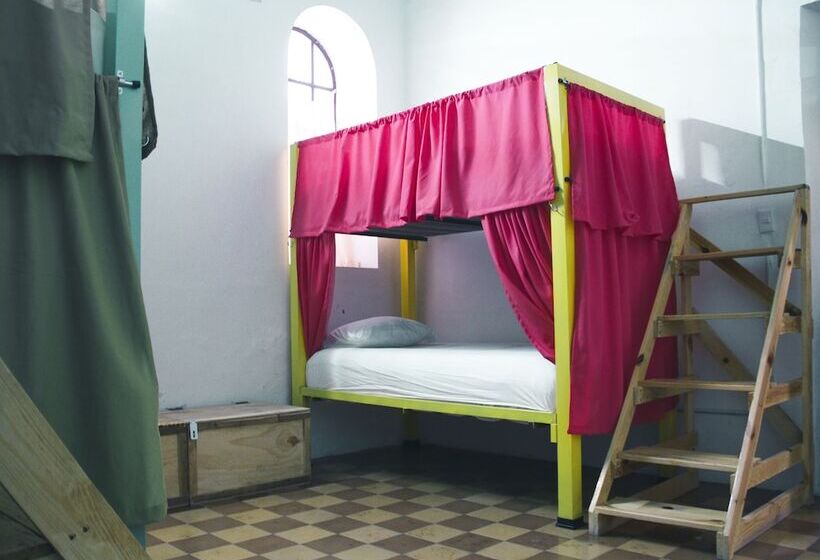 اتاق استاندارد, Sukha Hostel San Luis