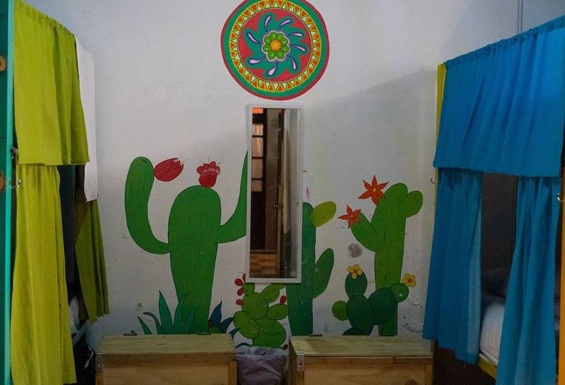 اتاق استاندارد, Sukha Hostel San Luis