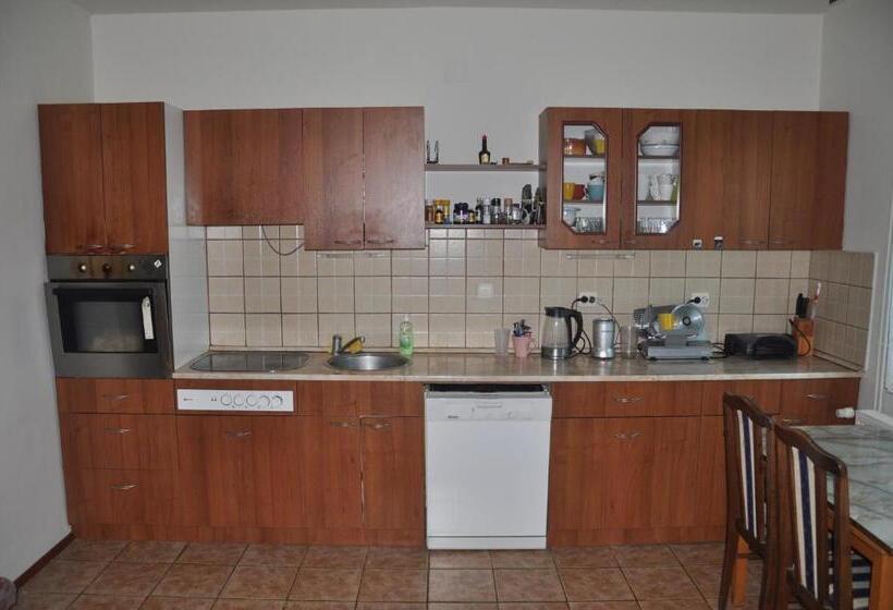 اتاق استاندارد با سرویس بهداشتی مشترک, Guesthouse Djurić