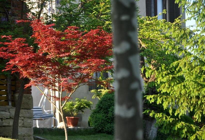 اتاق استاندارد با سرویس بهداشتی مشترک, Guesthouse Djurić