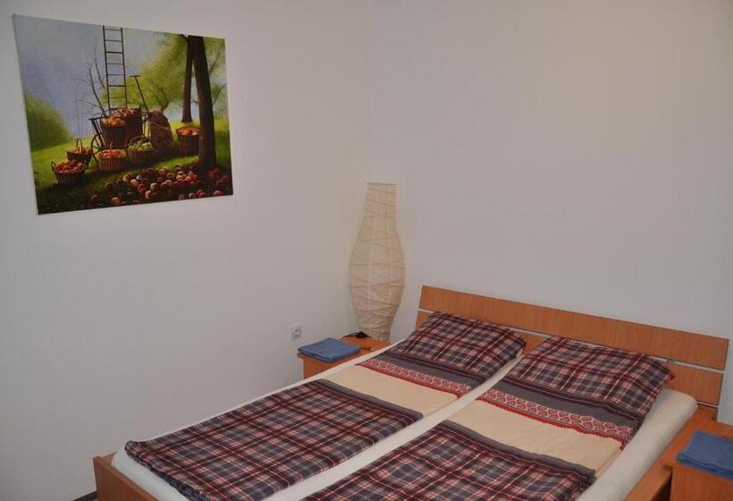 اتاق استاندارد با سرویس بهداشتی مشترک, Guesthouse Djurić