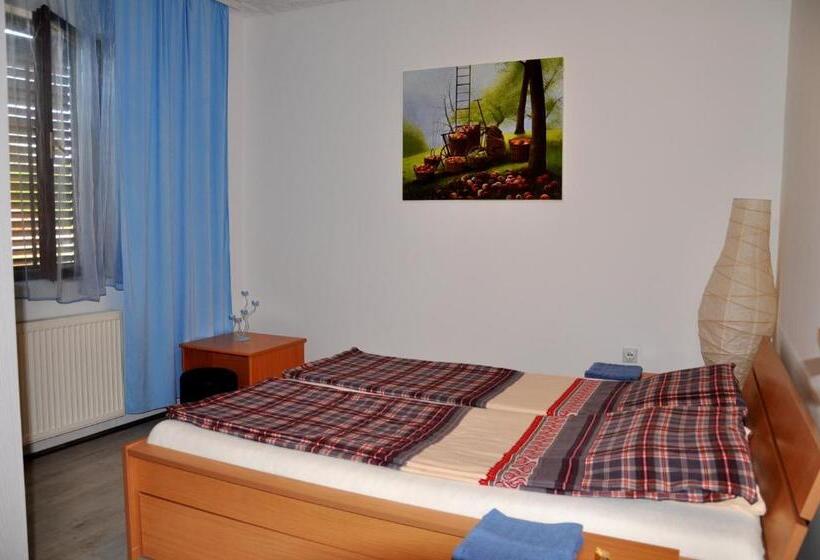 اتاق استاندارد با سرویس بهداشتی مشترک, Guesthouse Djurić