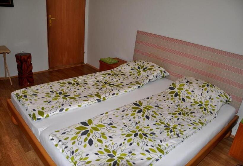 اتاق استاندارد با سرویس بهداشتی مشترک, Guesthouse Djurić