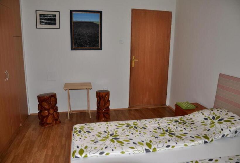 اتاق استاندارد با سرویس بهداشتی مشترک, Guesthouse Djurić