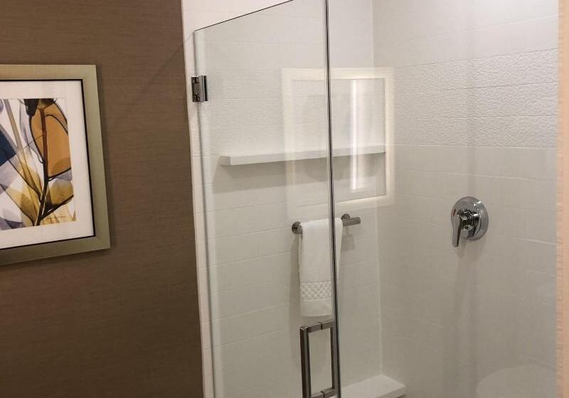 غرفة قياسية سرير كينج, Fairfield Inn & Suites By Marriott Decorah