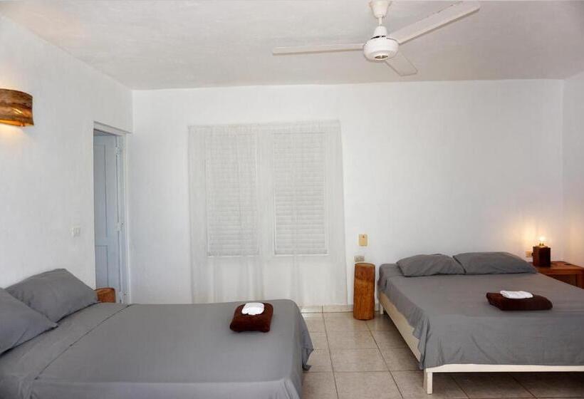 اتاق استاندارد چهارنفره با چشمانداز باغ, Le Bdm Playita