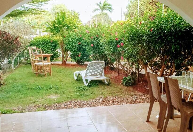 اتاق خانوادگی با چشمانداز باغ, Le Bdm Playita