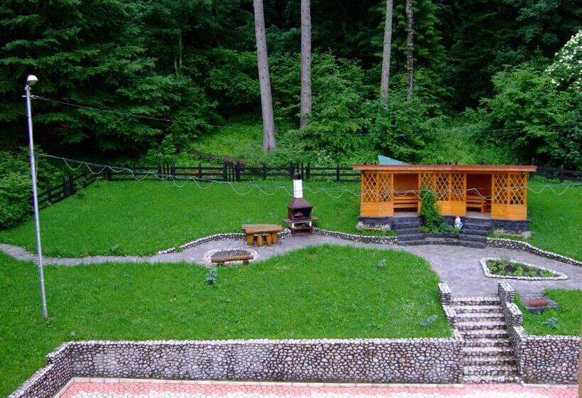 침실 1개 주택, Pensiunea Mihaela