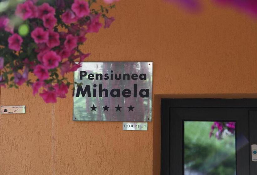 침실 1개 주택, Pensiunea Mihaela