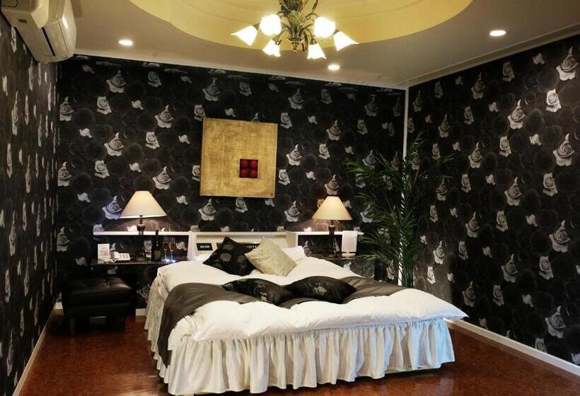 اتاق استاندارد, Lexy Adult Only