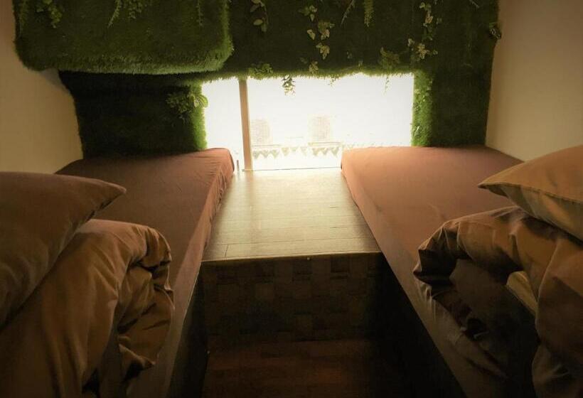 ベーシックルーム, Lohas Villa