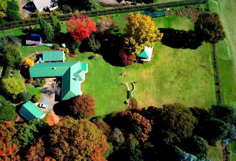 חדר קומפורט, Sani Window B&b And Self Catering