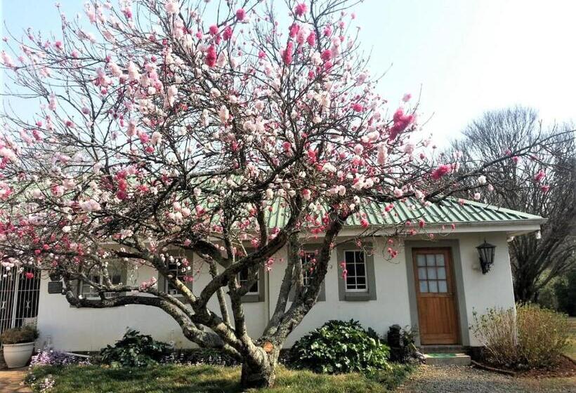 חדר סטנדרט, Sani Window B&b And Self Catering